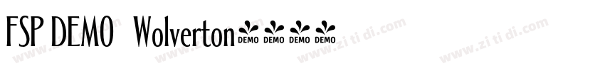 FSP DEMO   Wolverton字体转换